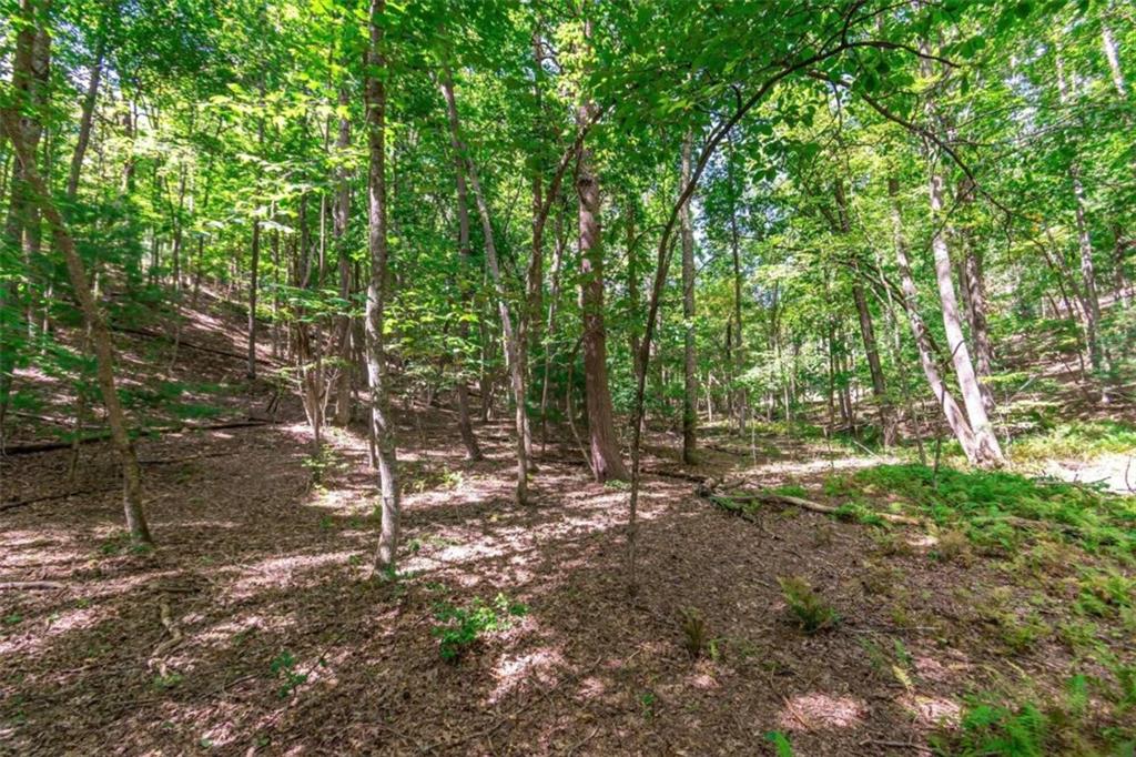 LOT 22 Meadow Brook Trail, Morganton, Georgia image 10