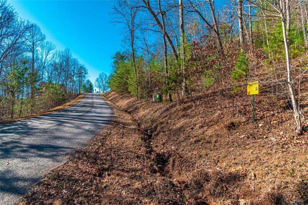 LOT 22 Meadow Brook Trail, Morganton, Georgia image 41