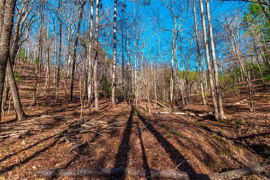 LOT 22 Meadow Brook Trail, Morganton, Georgia image 28