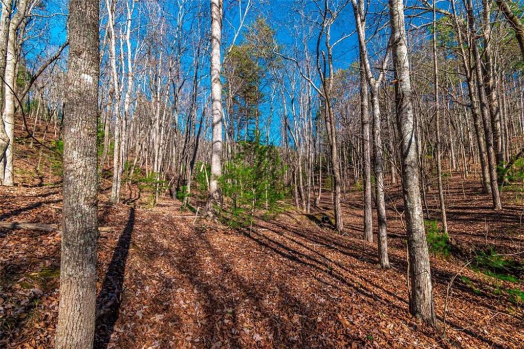 LOT 22 Meadow Brook Trail, Morganton, Georgia image 22