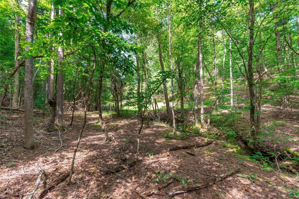 LOT 22 Meadow Brook Trail, Morganton, Georgia image 18