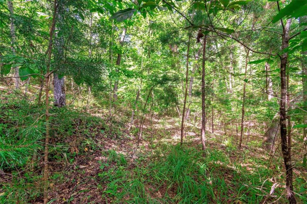 LOT 22 Meadow Brook Trail, Morganton, Georgia image 7