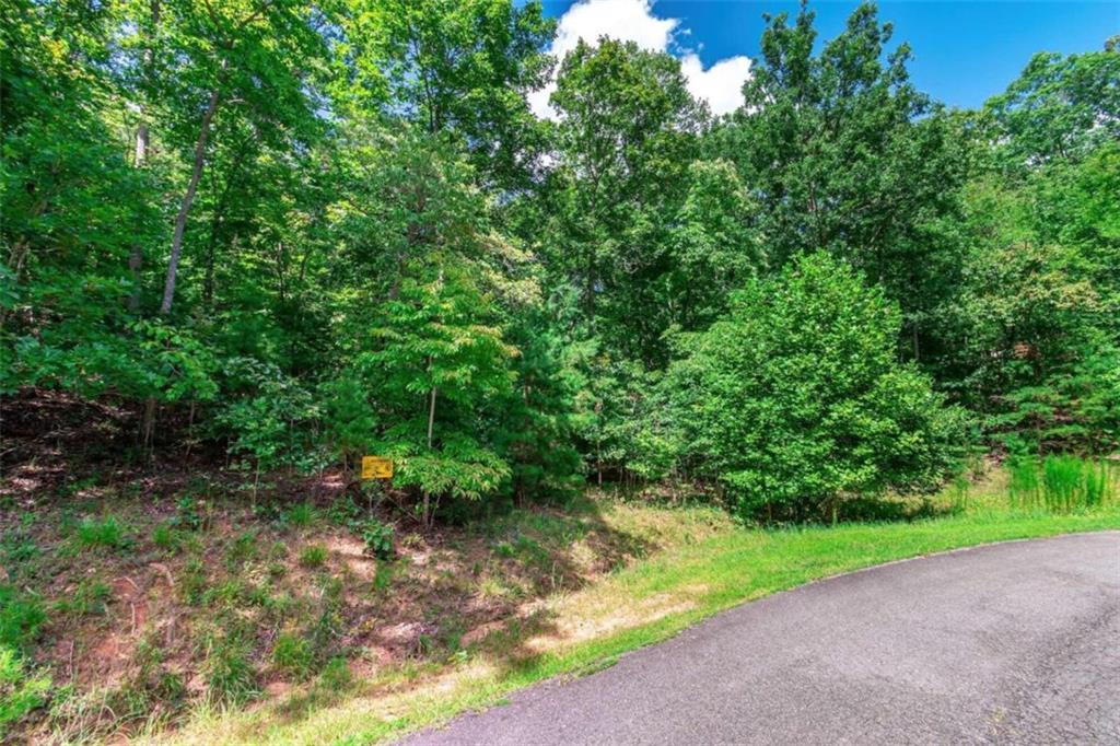 LOT 22 Meadow Brook Trail, Morganton, Georgia image 6