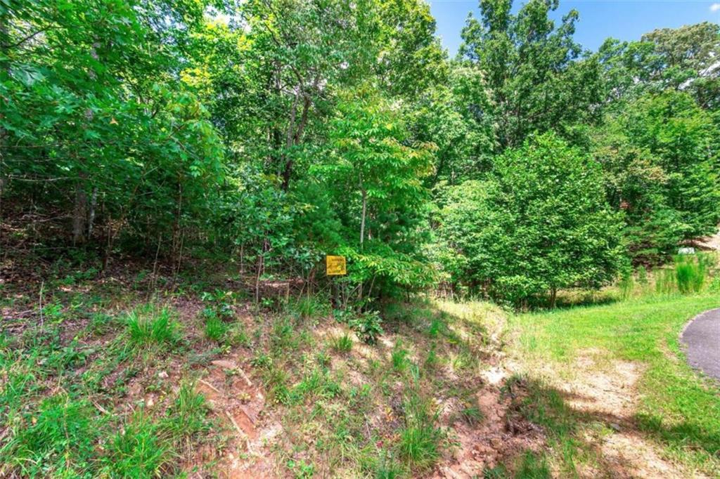 LOT 22 Meadow Brook Trail, Morganton, Georgia image 4