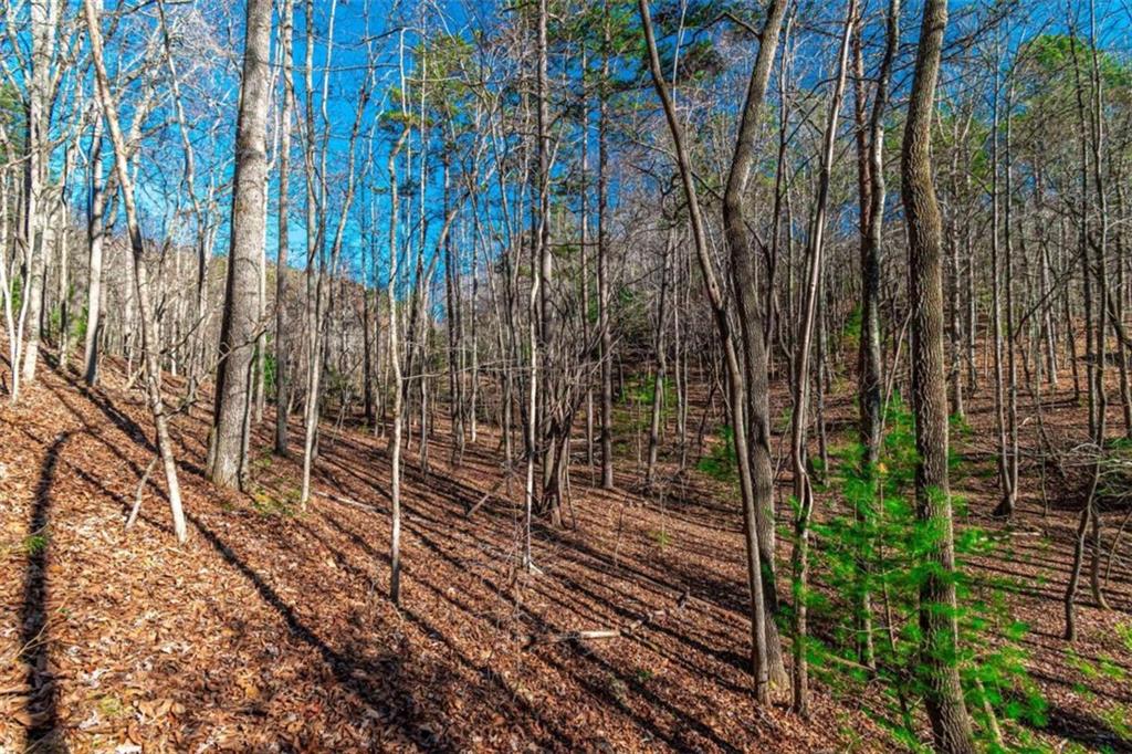 LOT 22 Meadow Brook Trail, Morganton, Georgia image 36