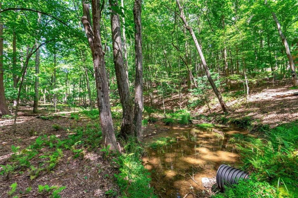 LOT 22 Meadow Brook Trail, Morganton, Georgia image 9