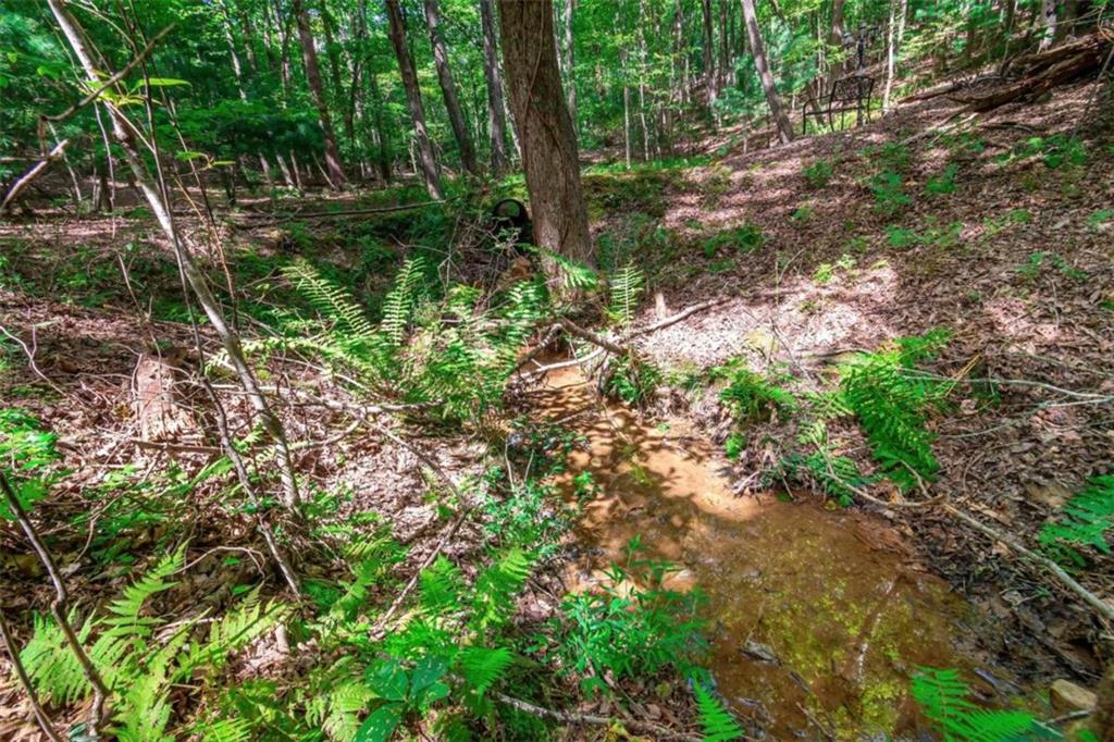 LOT 22 Meadow Brook Trail, Morganton, Georgia image 11