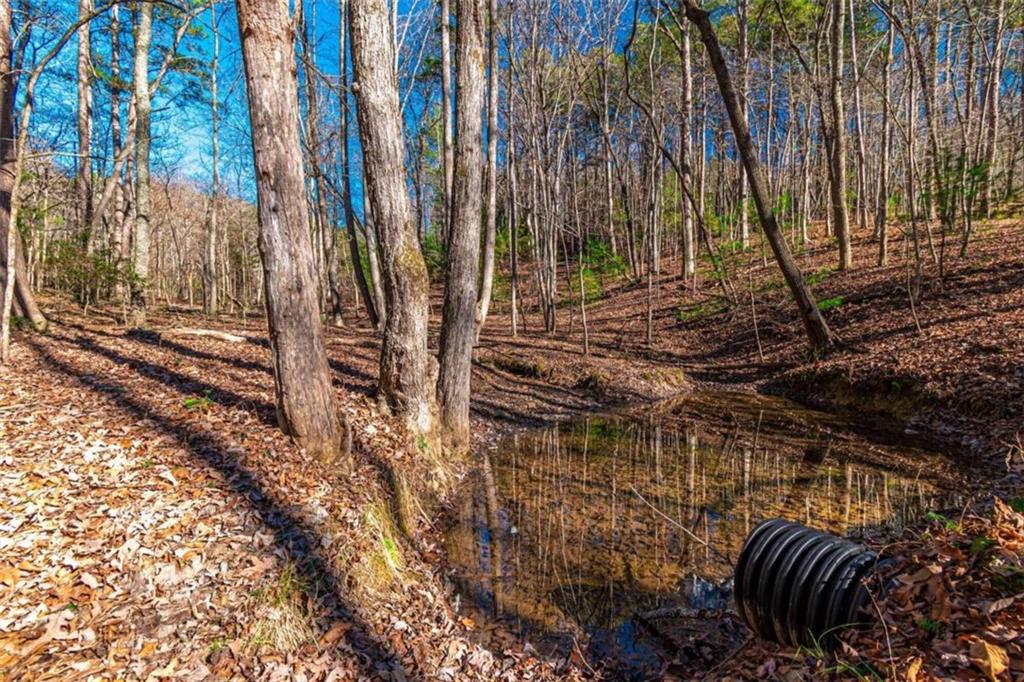 LOT 22 Meadow Brook Trail, Morganton, Georgia image 25