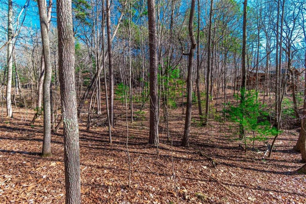 LOT 22 Meadow Brook Trail, Morganton, Georgia image 35