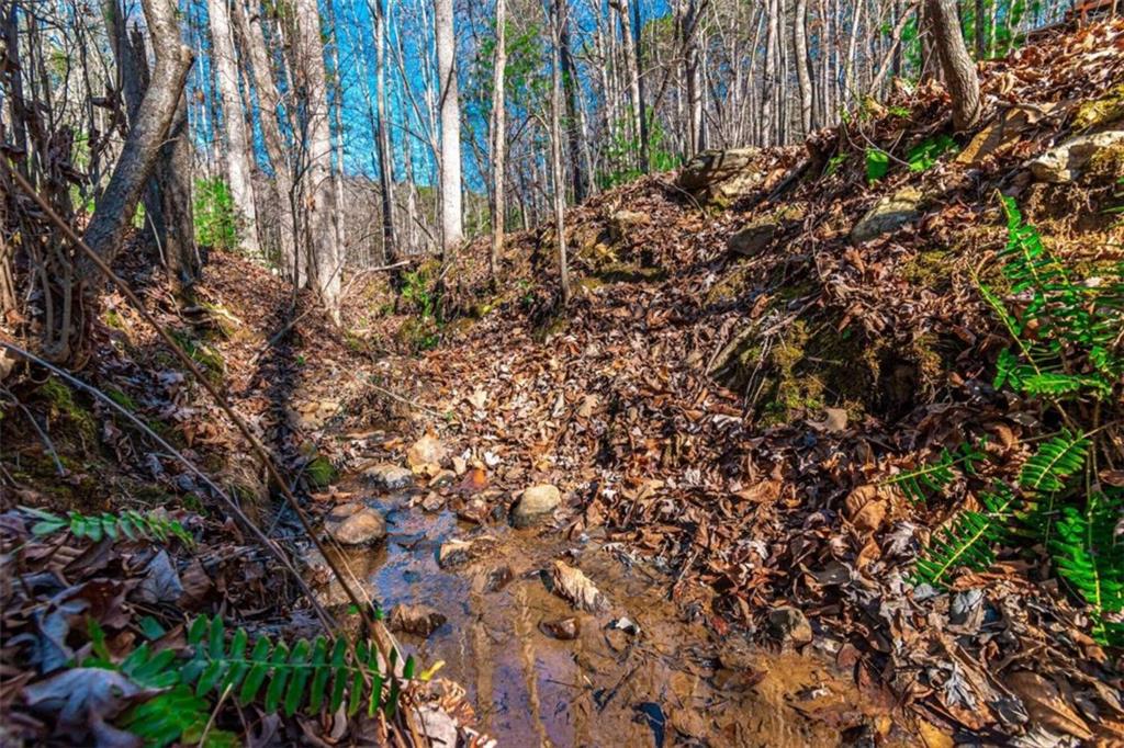 LOT 22 Meadow Brook Trail, Morganton, Georgia image 38