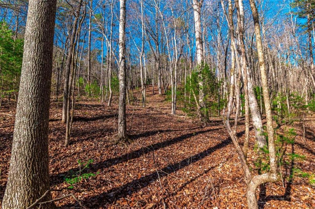 LOT 22 Meadow Brook Trail, Morganton, Georgia image 39