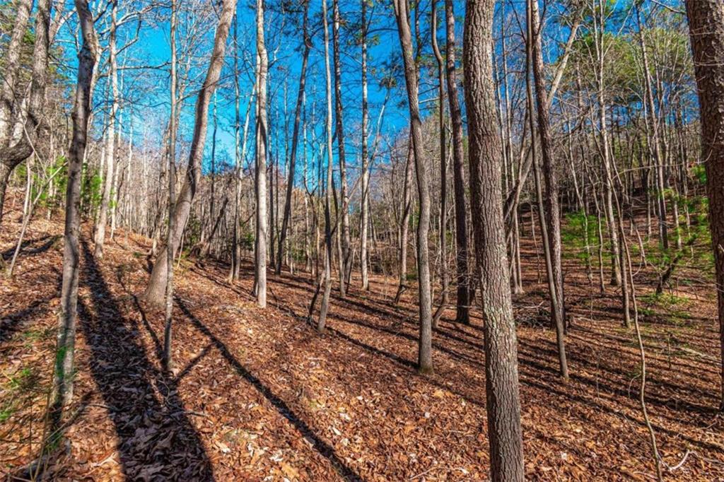 LOT 22 Meadow Brook Trail, Morganton, Georgia image 34