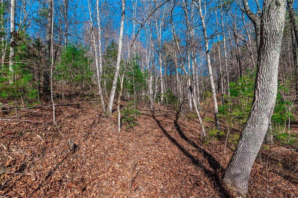 LOT 22 Meadow Brook Trail, Morganton, Georgia image 40