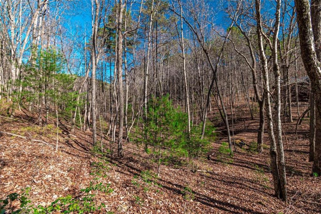 LOT 22 Meadow Brook Trail, Morganton, Georgia image 37