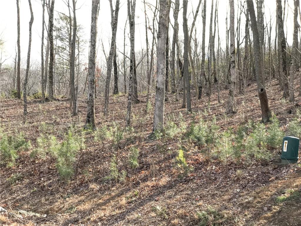 179 Trailwood Drive