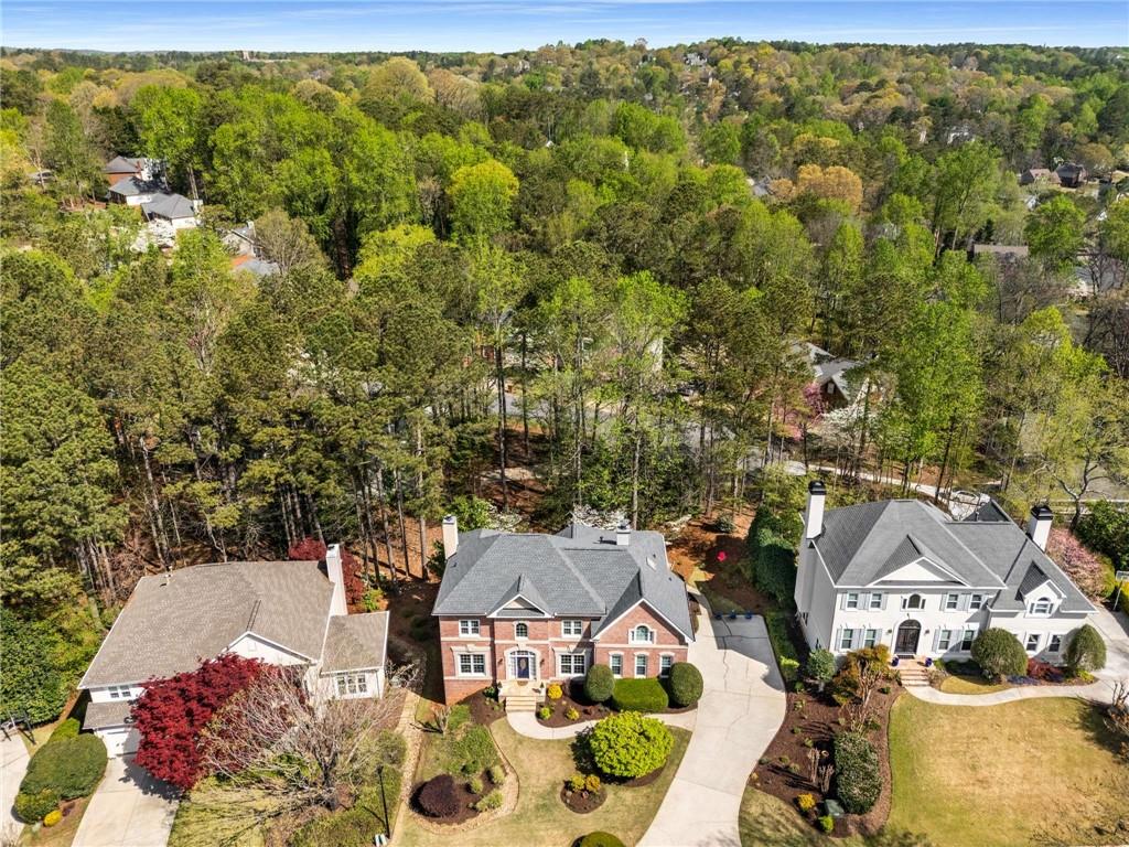3060 Birchton Street, Johns Creek, Georgia image 45