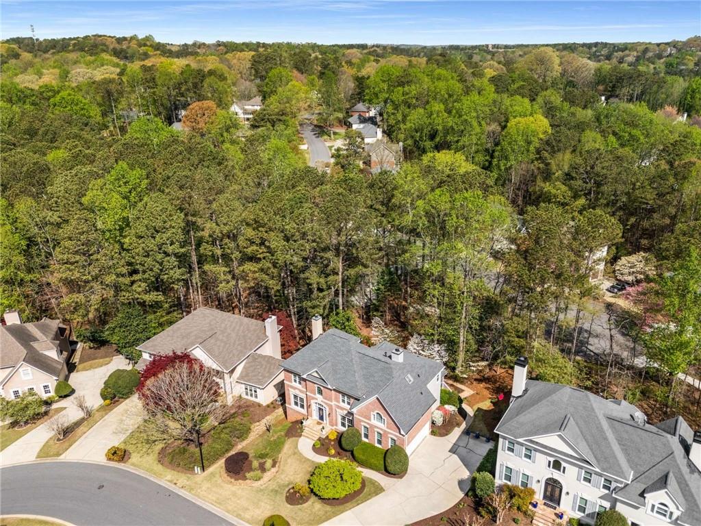 3060 Birchton Street, Johns Creek, Georgia image 46