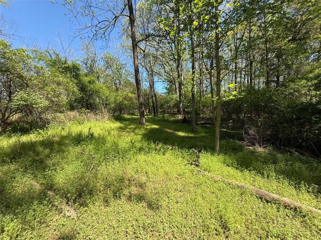 0 Panhandler Circle (2B)