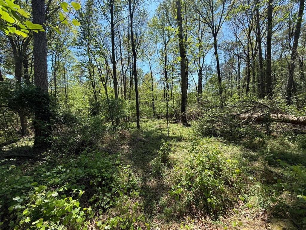 0 Panhandler Circle (2B)