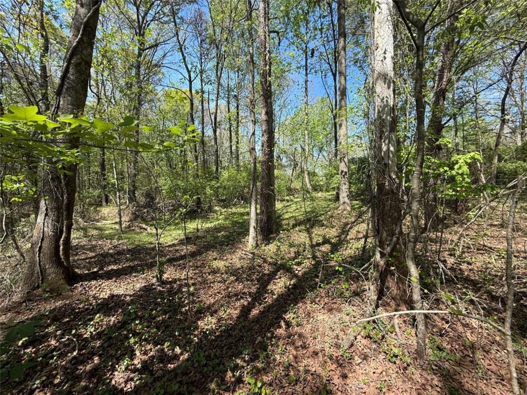 0 Panhandler Circle (2B)