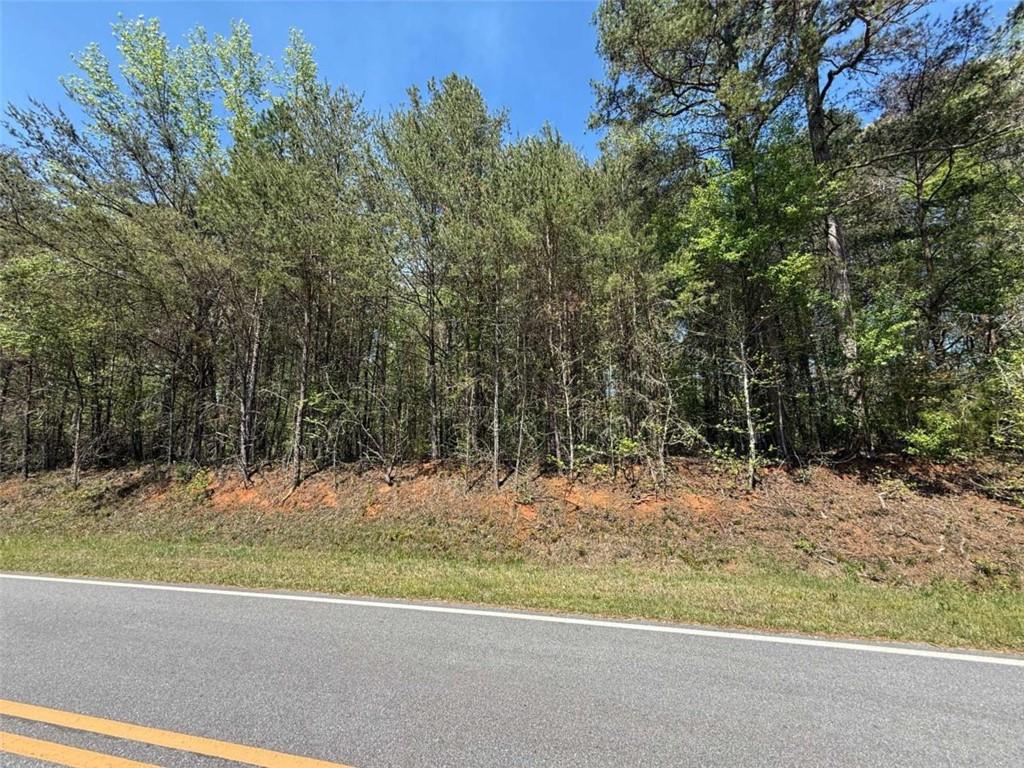 0 Panhandler Circle (2B)