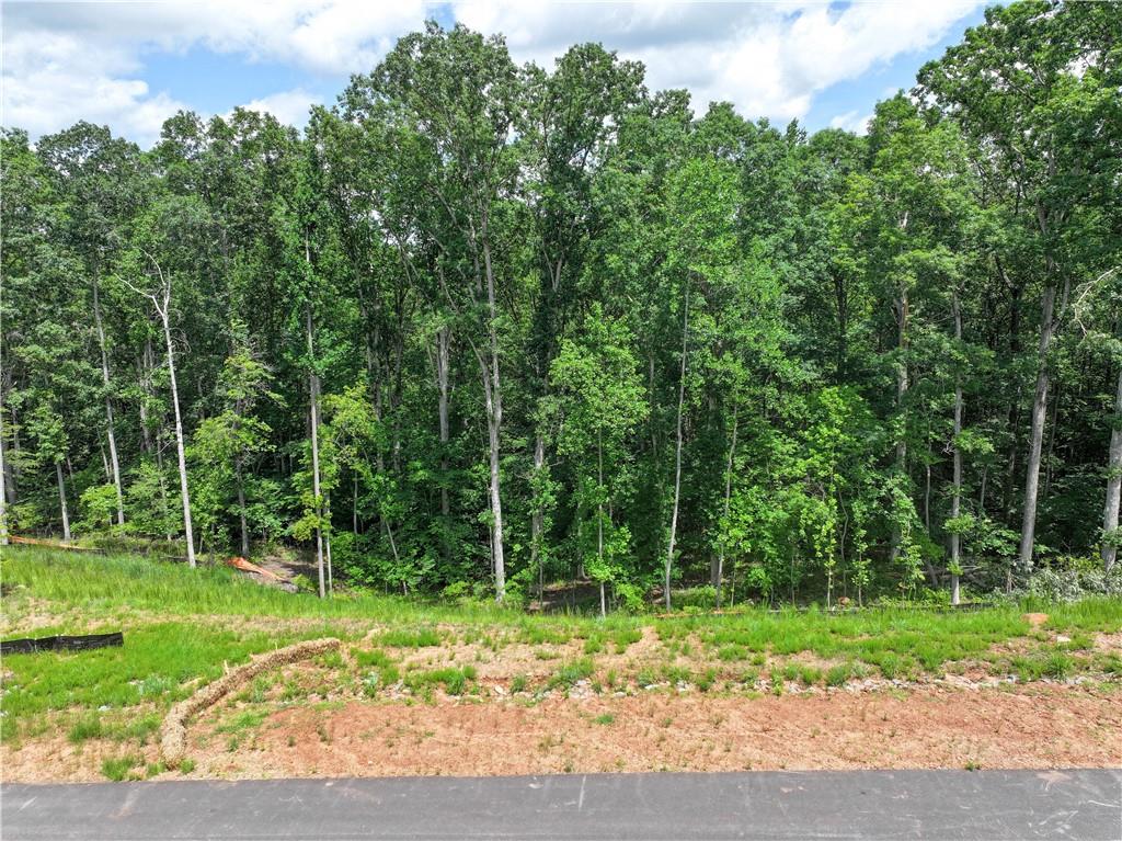 13585 Wood Fern Way