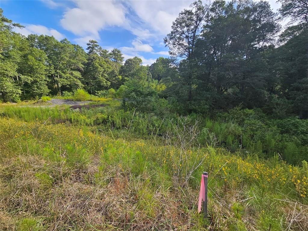 Lost Mountain Road, Powder Springs, Georgia image 5