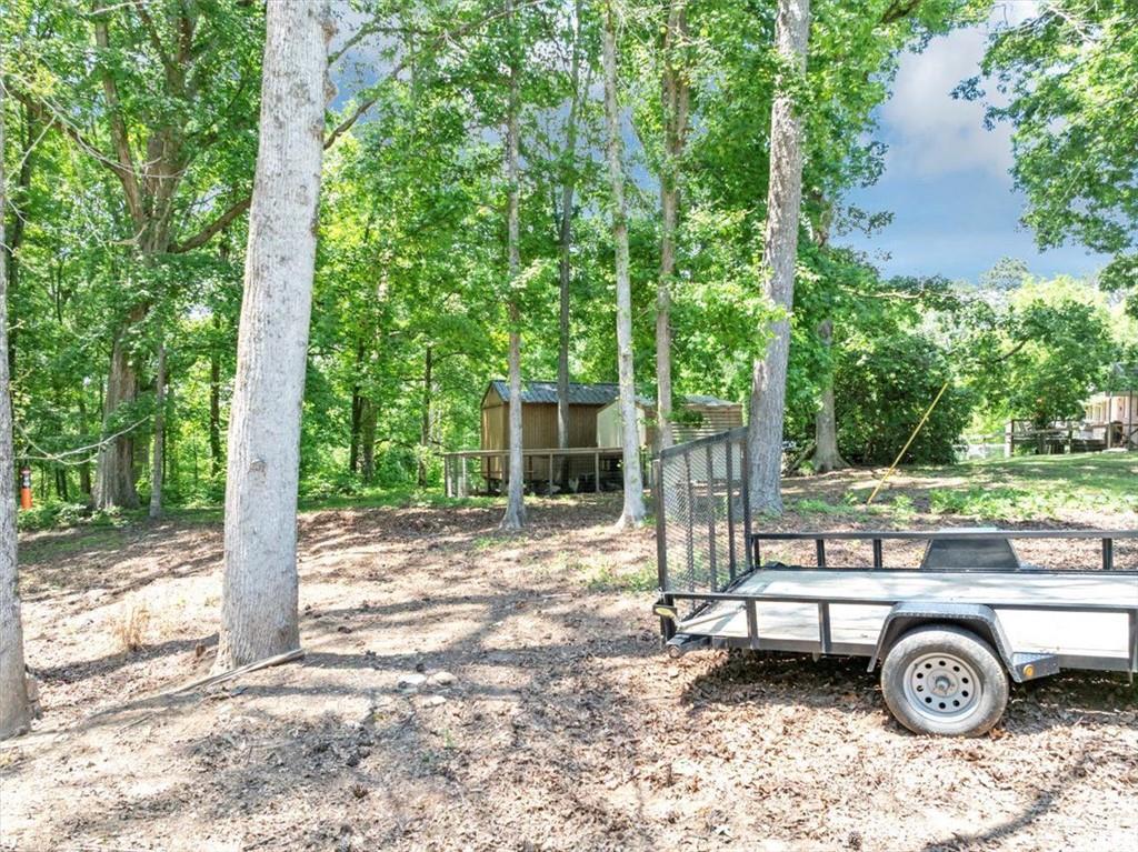 586 Old Bushmill Road, Bremen, Georgia image 13