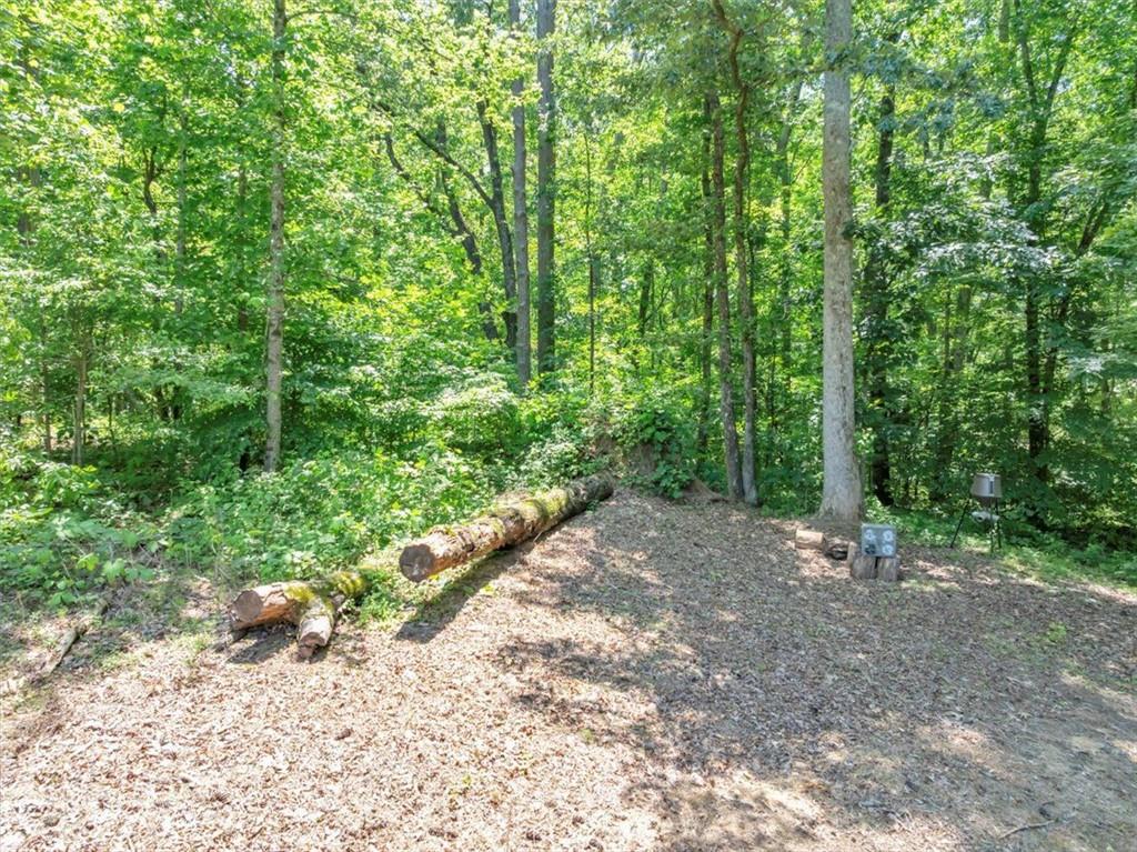 586 Old Bushmill Road, Bremen, Georgia image 11