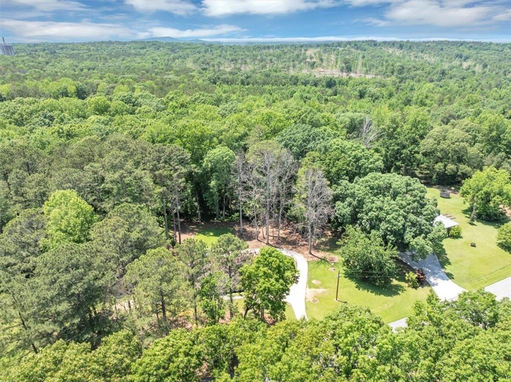 586 Old Bushmill Road, Bremen, Georgia image 3