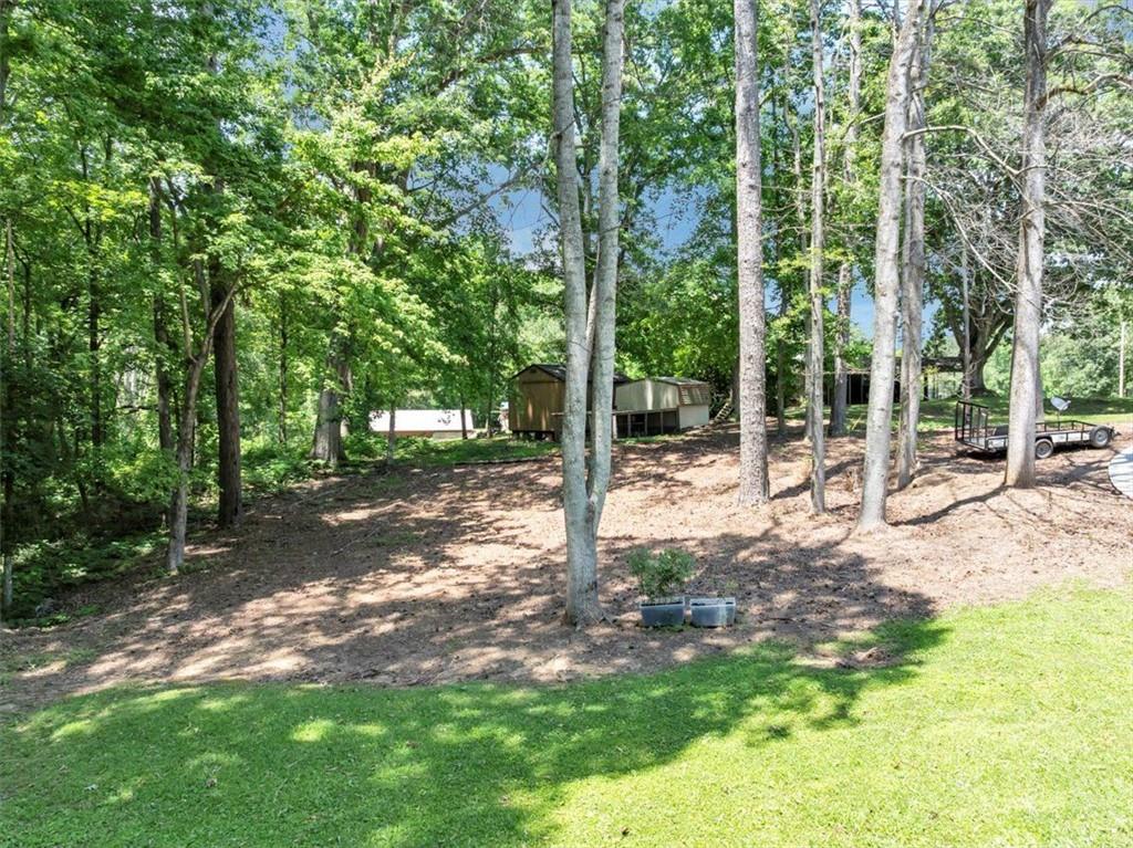 586 Old Bushmill Road, Bremen, Georgia image 10