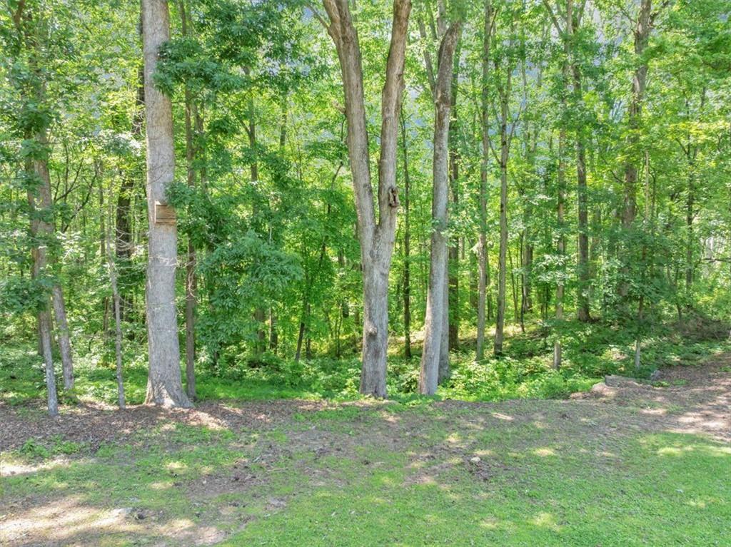 586 Old Bushmill Road, Bremen, Georgia image 9