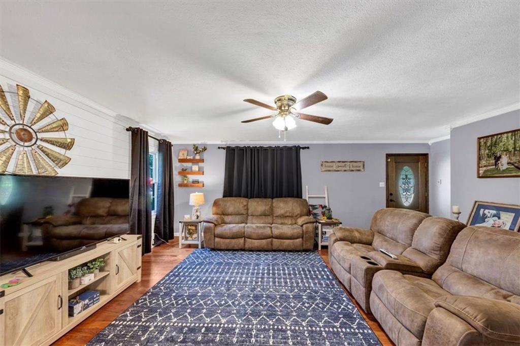 586 Old Bushmill Road, Bremen, Georgia image 47