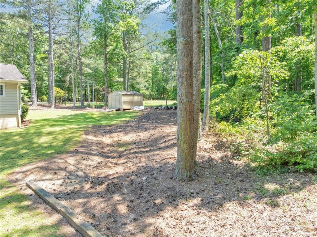 586 Old Bushmill Road, Bremen, Georgia image 12