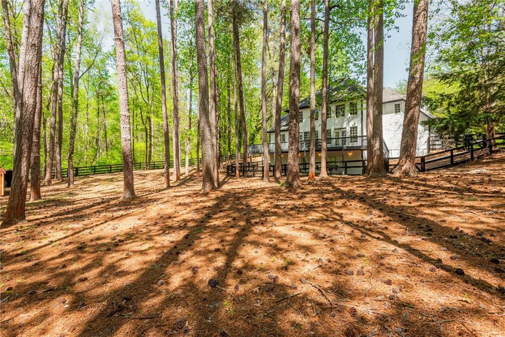 15230 Sandpoint Trace, Milton, Georgia image 47