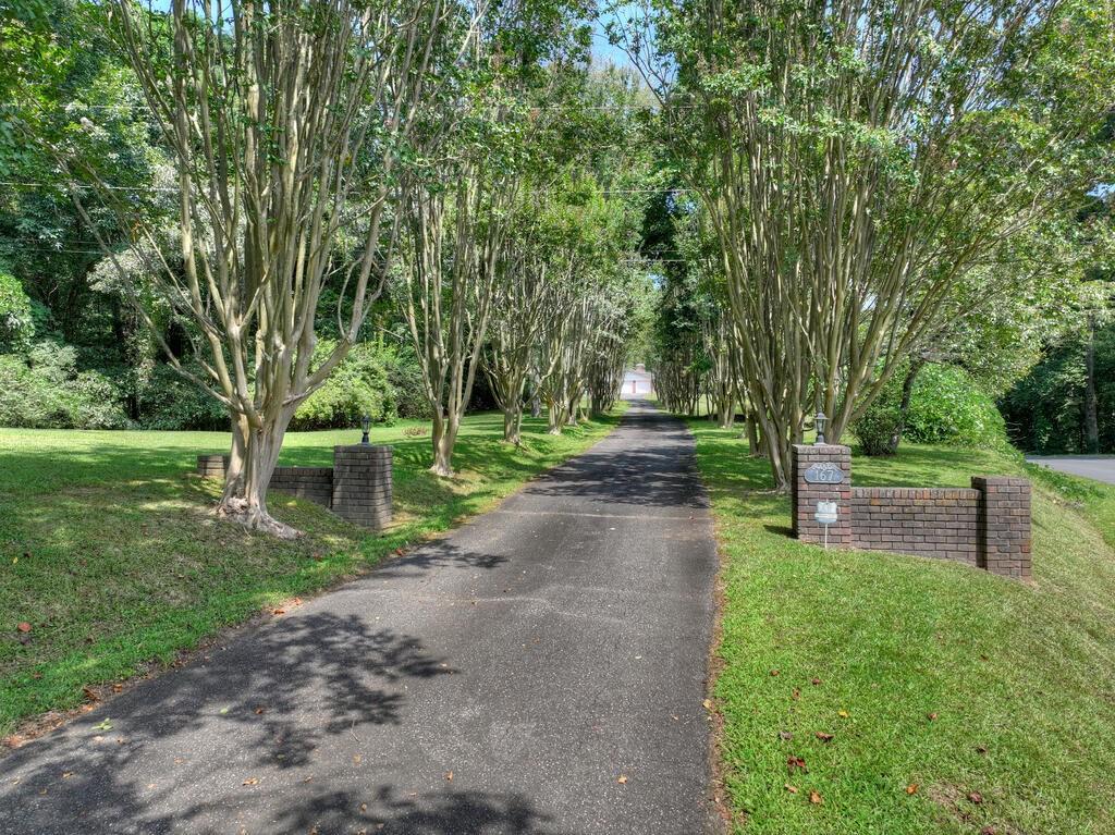 167 Vista Drive