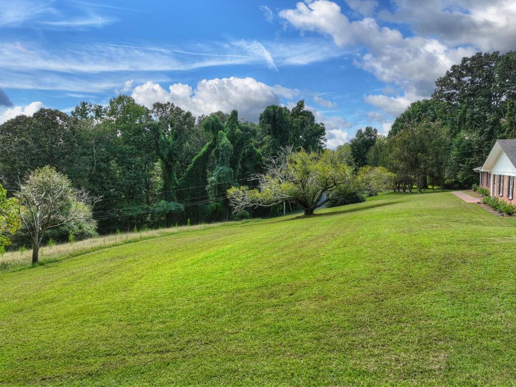 167 Vista Drive