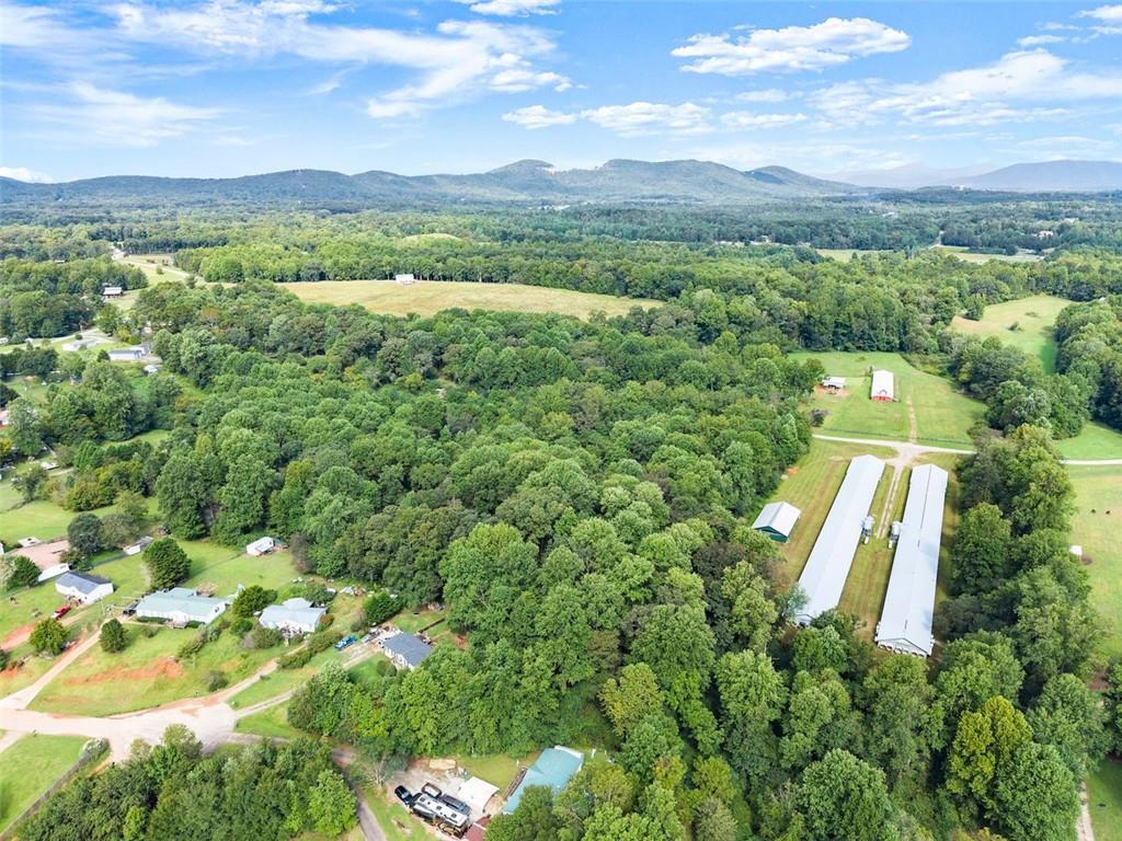 869 Mossy Creek Church Road