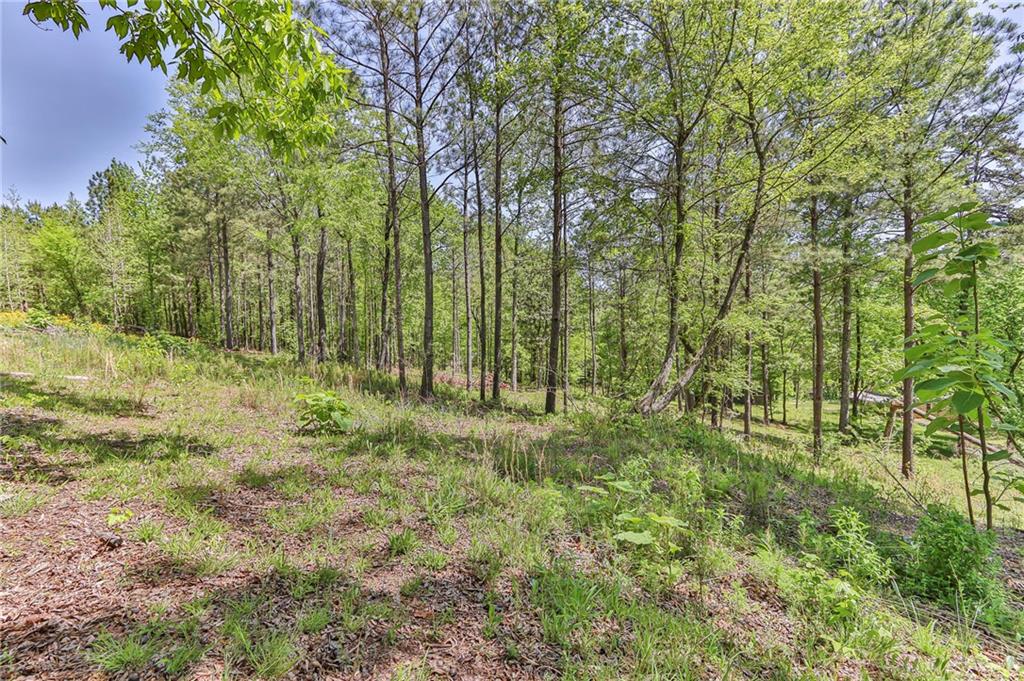 158 Park Rd Sw, Rome, Georgia image 21
