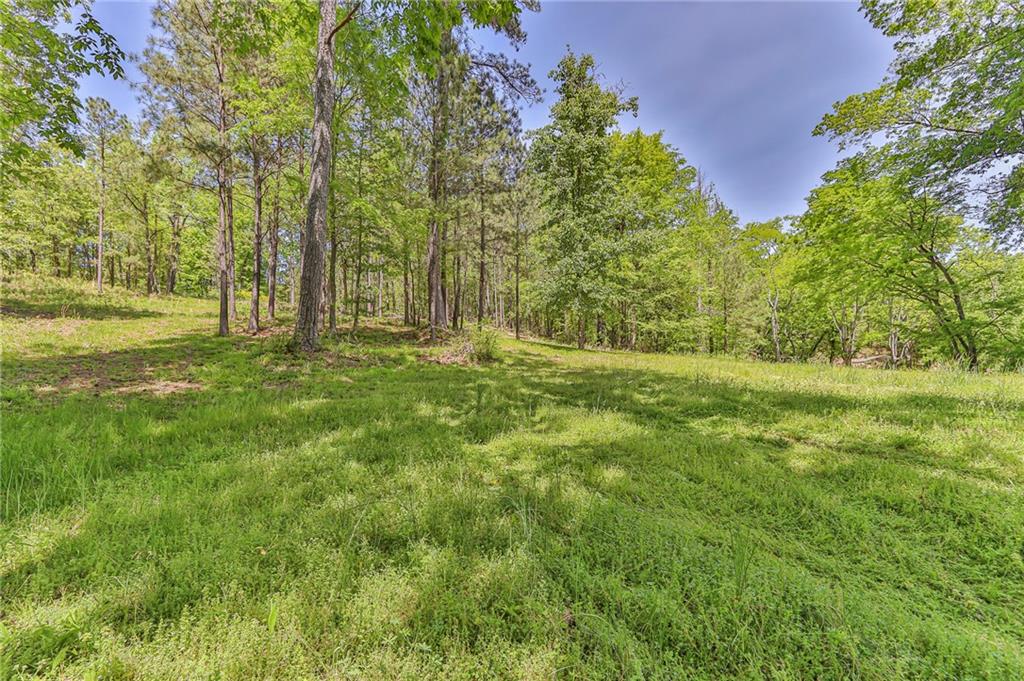 158 Park Rd Sw, Rome, Georgia image 15