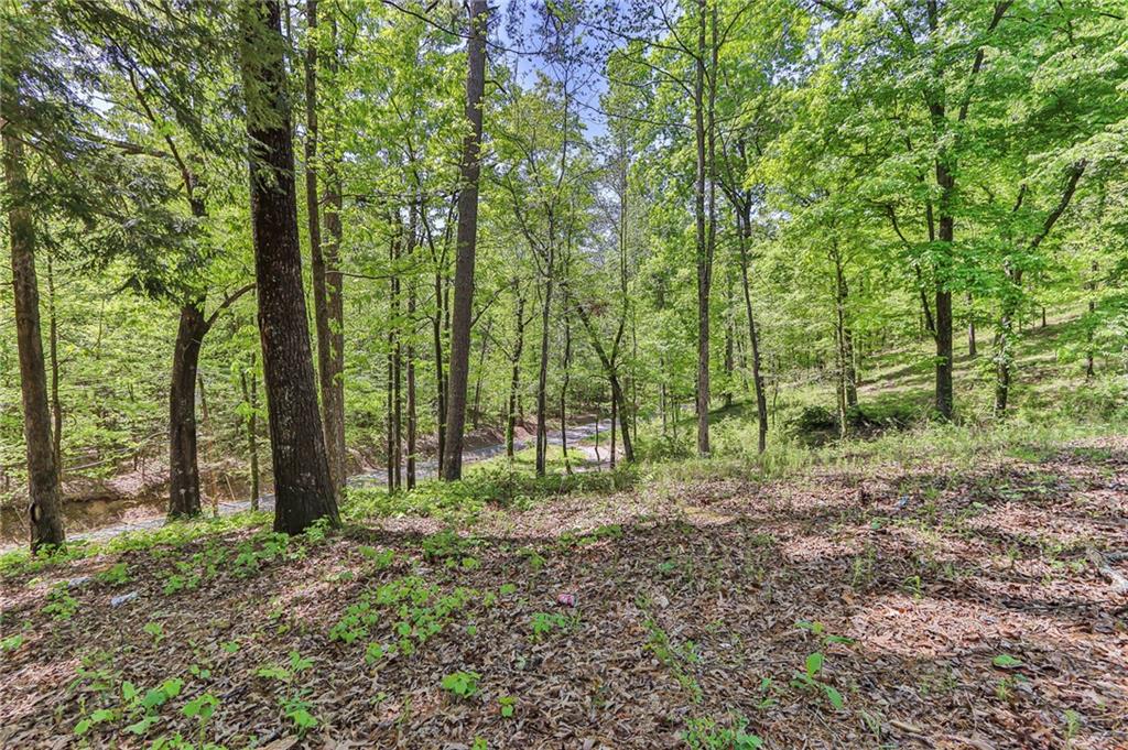 158 Park Rd Sw, Rome, Georgia image 13