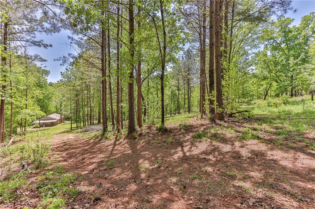 158 Park Rd Sw, Rome, Georgia image 17
