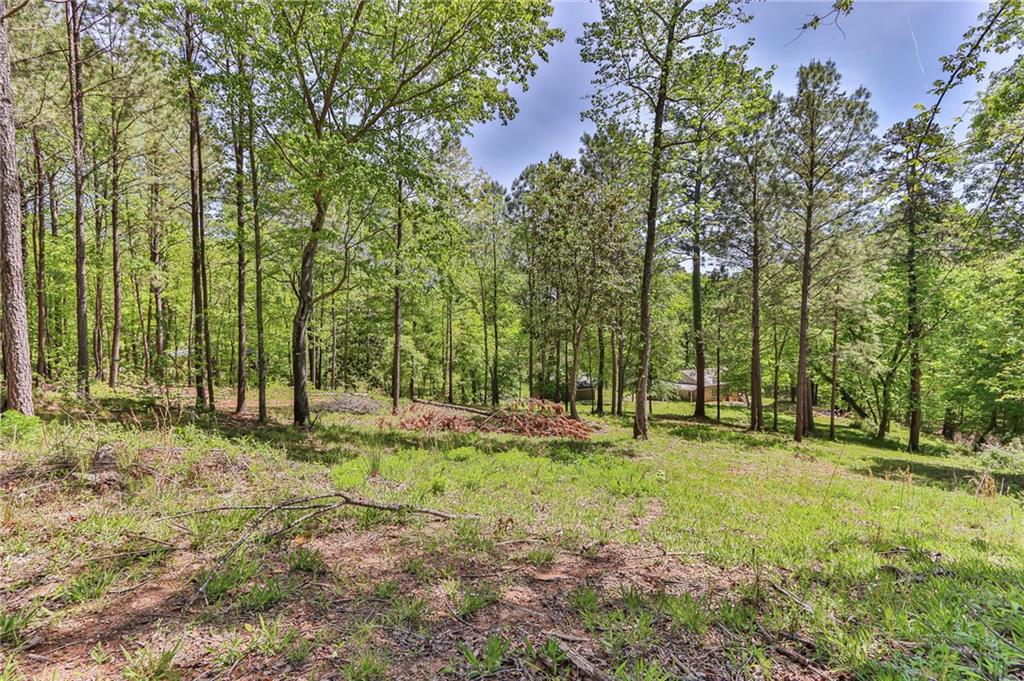 158 Park Rd Sw, Rome, Georgia image 20