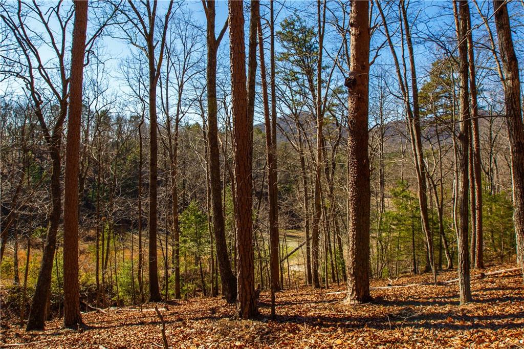 2784 Summit Drive, Big Canoe, Georgia image 3