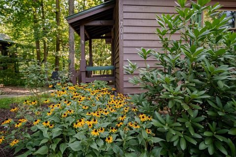 A home in Blue Ridge