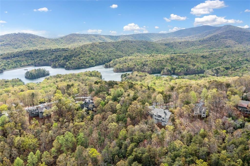 2107 Mcelroy Mountain Drive, Big Canoe, Georgia image 12