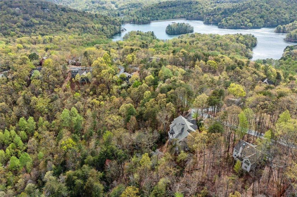 2107 Mcelroy Mountain Drive, Big Canoe, Georgia image 14