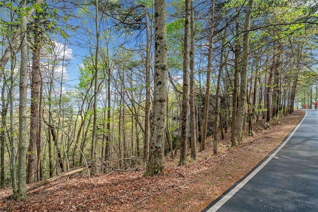 2107 Mcelroy Mountain Drive, Big Canoe, Georgia image 19
