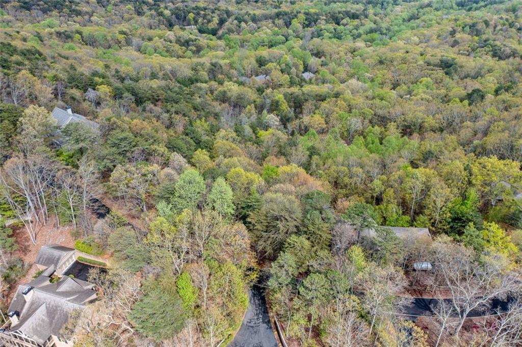 2107 Mcelroy Mountain Drive, Big Canoe, Georgia image 2