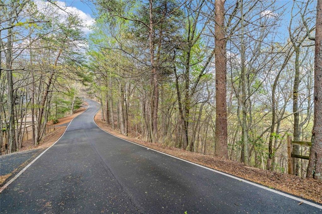 2107 Mcelroy Mountain Drive, Big Canoe, Georgia image 17